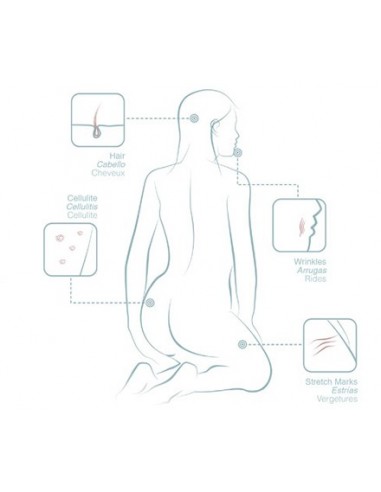 Centella Asiática BCN
