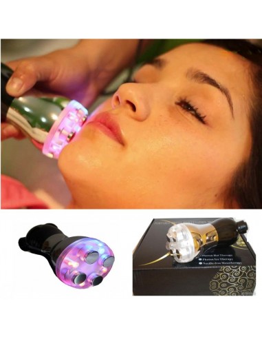 Electroporador Portátil