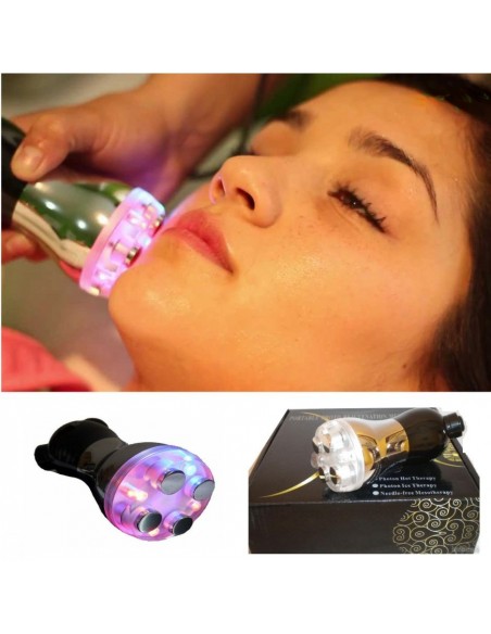 Electroporador Portátil