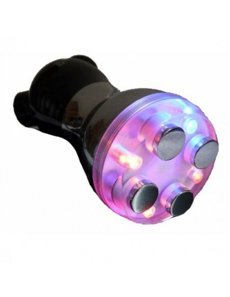 Electroporador Portátil